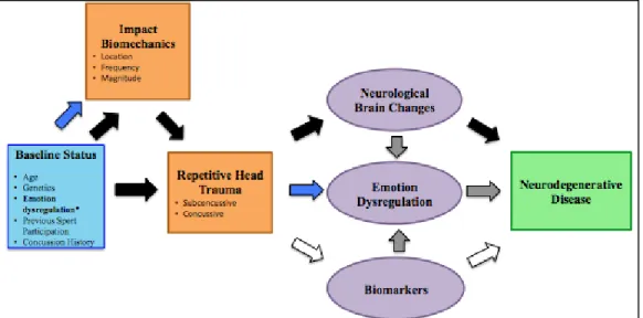 Figure 1.2. Theoretical progression from pre-competition status to  neurodegenerative disease in athletes