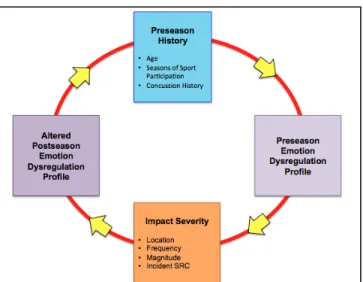 Figure 1.3. Conceptual model of the cyclical relationship between Emotion 