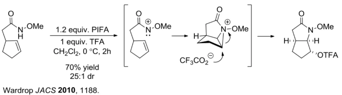 Figure 1-14. Nitrenium-Mediated Intramolecular Oxamidation 