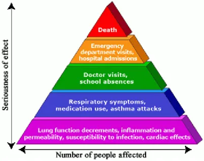 Figure 1-1.  Health effects and repercussions of ozone exposure.  This material was generated  by the U.S