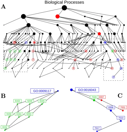Figure 6: SAFE results displayed across the DAG structure for Biological Process nodes