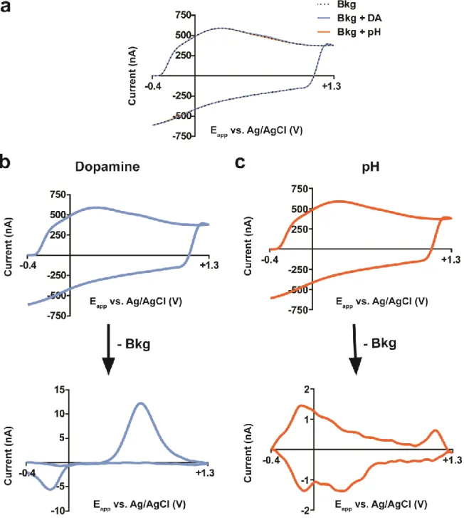 Figure 1.1. Background subtraction with fast-scan cyclic voltammetry. a) Rapid potential  sweeps (400 V/s) in brain tissue produce large background currents (black dotted line) that  result from charging of the double layer and redox of electroactive group