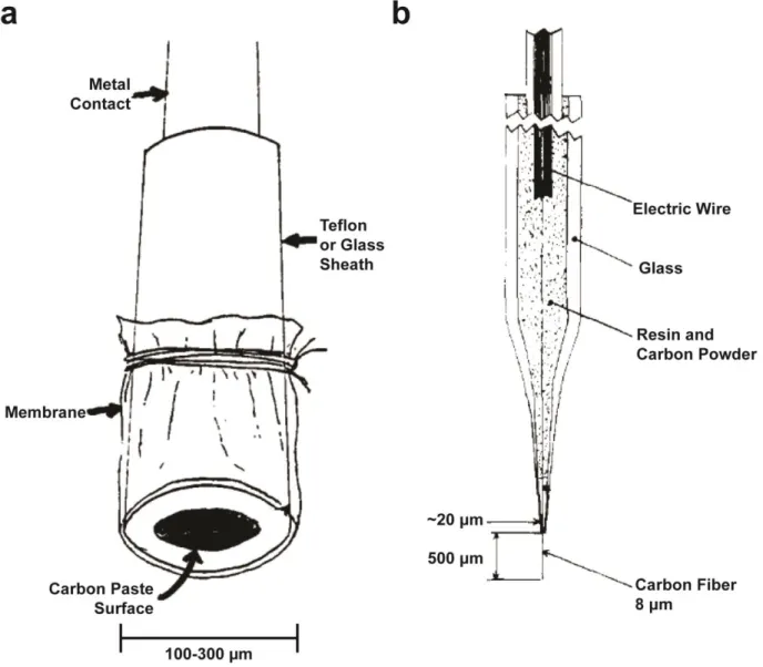 Figure 1.2. Diagram of carbon paste and carbon fiber microelectrodes. a) Schematic for a  carbon paste microelectrode