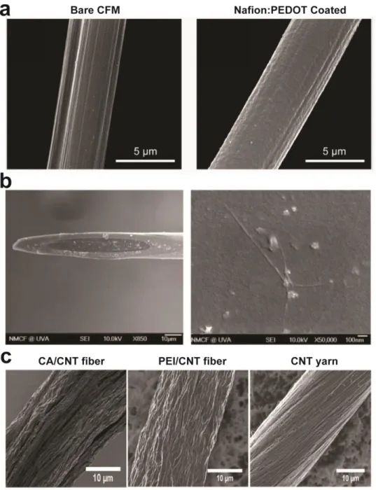 Figure 1.3. Electrode modifications for FSCV measurements. a) Electrodeposition of composite  Nafion:PEDOT coatings on CFMs results in smoother electrode surfaces, in addition to more  sensitive and selective FSCV measurements towards dopamine