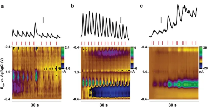 Figure 2.5. Temporal resolution is diminished with extended anodic limits. a) Measurements on  the +1.0 V waveform reveal that electrical stimulation evokes transient increases in dopamine  concentration that rapidly return to baseline before subsequent tr