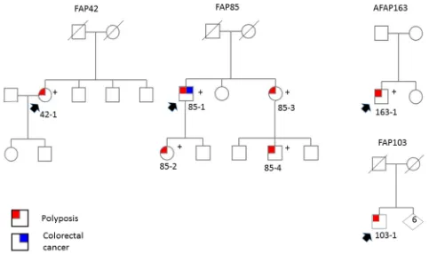 Figure 1: Pedigrees of ASE families. Pedigrees of adenomatous polyposis families with ASE