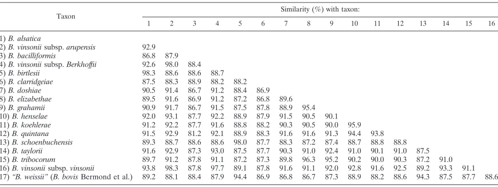 TABLE 3. Primers used for PCR and/or sequencing