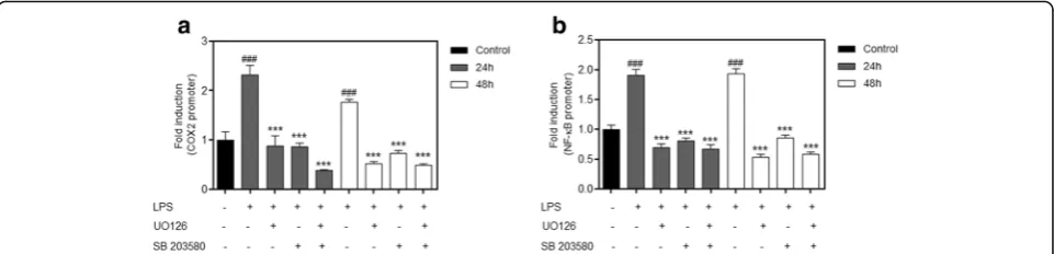 Fig. 11 Inhibition of p38 and ERK has the same effect as that caused by MSCs co-cultured with macrophages stimulated with LPS