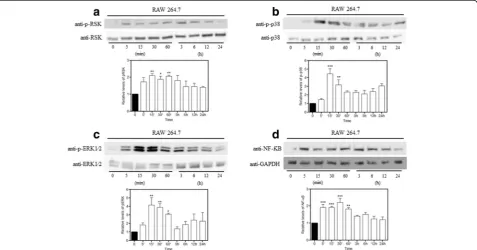 Fig. 5 LPS-induced MAPK pathway activation. We performed a time-course experiment to evaluate the best times for the MAPK pathway activation.times