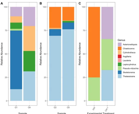 Figure 6-  Relative abundance data derived from three different methods (A= Light Microscopy Cell Counts, B= Amplicon Sequencing, C= FlowCam Analysis)
