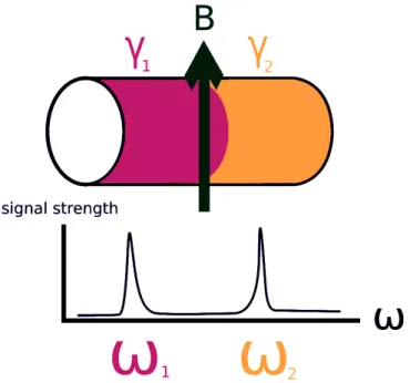 Figure 1.2: A visualization of basic NMR spectroscopy. If the differently colored regions represent regions of nuclei with different gyromagnetic ratios, then the two