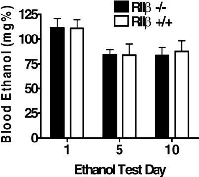 Figure 2.2 Blood ethanol concentrations (mg%) in 129/SvEv x C57BL/6J RII -/-  and RII +/+