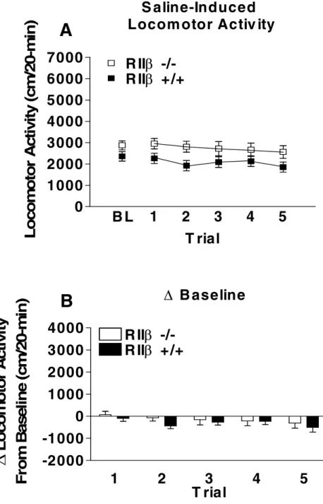 Figure 2.3 Locomotor activation and sensitization in129/SvEv x C57BL/6J RII -/-  and RII +/+ mice following repeated saline injections