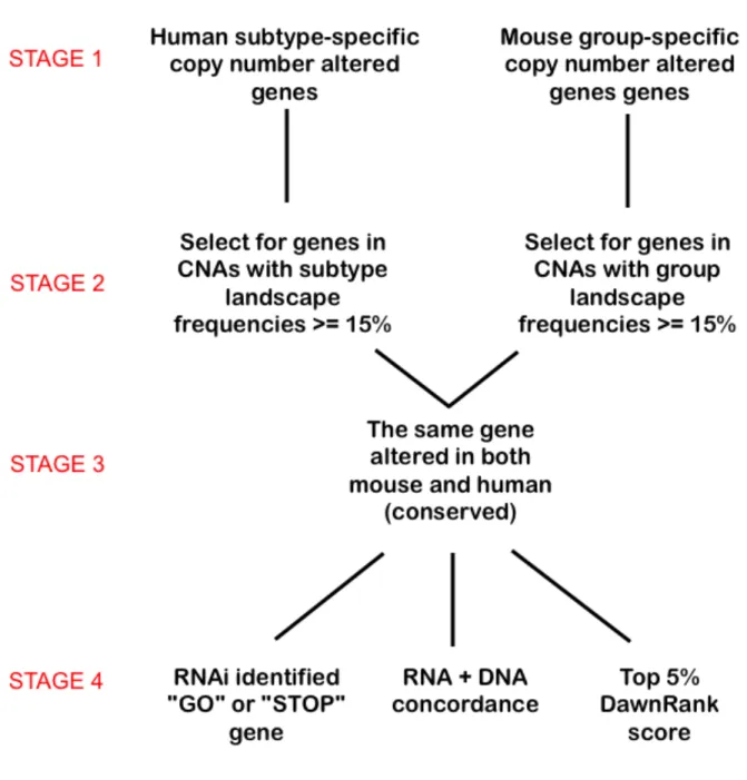 Figure 2.1 Data-analysis pipeline to identify subtype-specific CNA candidate driver genes