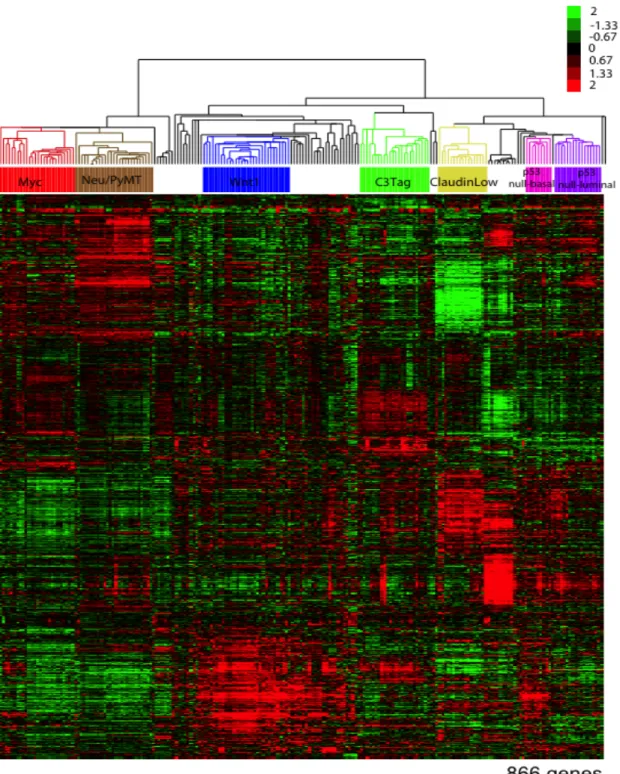 Figure 2.2 Supervised cluster of mouse gene expression data using an 866 intrinsic gene list