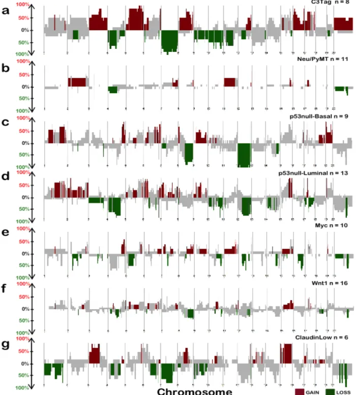 Figure 2.3 Copy number frequency plots from SWITCHplus showing mouse group-specific  CNAs