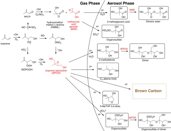 Figure 1. Isoprene oxidation pathways under high-NO x  (upper) and low-NO x  (lower)  conditions