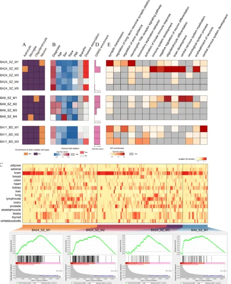 Figure 2: Co-expression network analysis of dysfunctional lincRNA modules. A. Enrichment of brain-related cell types