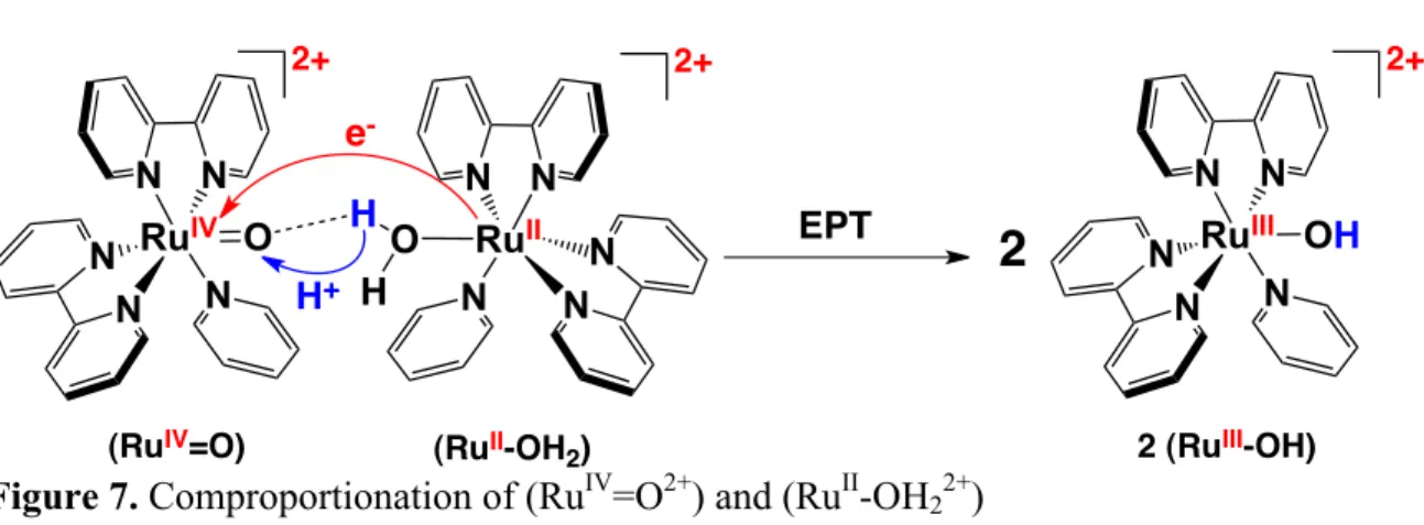 Figure 7. Comproportionation of (Ru IV =O 2+ ) and (Ru II -OH 2 2+ ) 