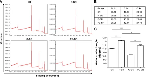 Figure 2 surface physical and chemical properties for each group of samples.Notes: (A, B) XPs analysis of the chemical composition of sr, P-sr, c-sr, and Pc-sr
