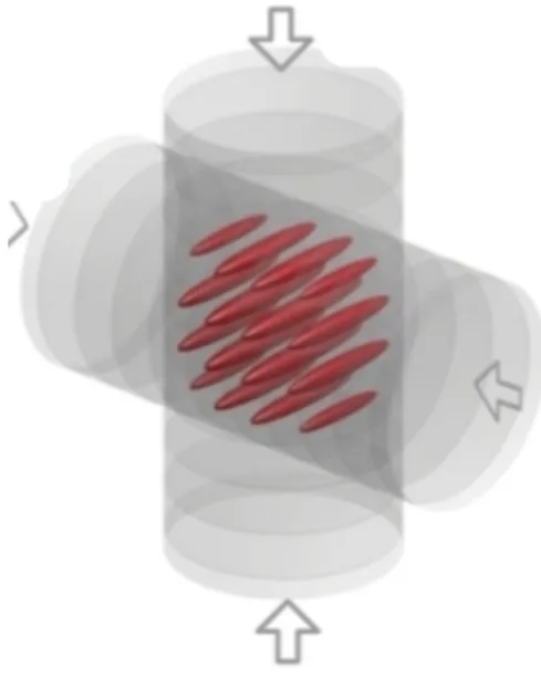 Figure 1.5: Experimental confinement of two-component ultracold 6 Li atoms trapped in an array of 1D tubes