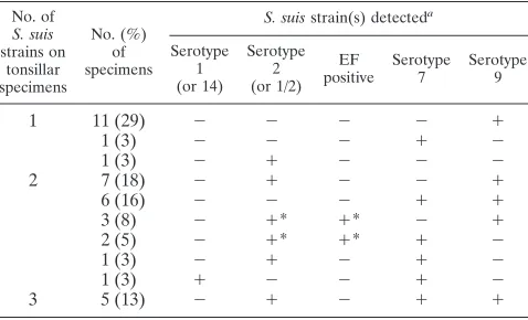 TABLE 2. S. suiswith strains isolated from affected tissues compared S. suis strains detected by multiplex PCR assays on tonsils from38 diseased pigs