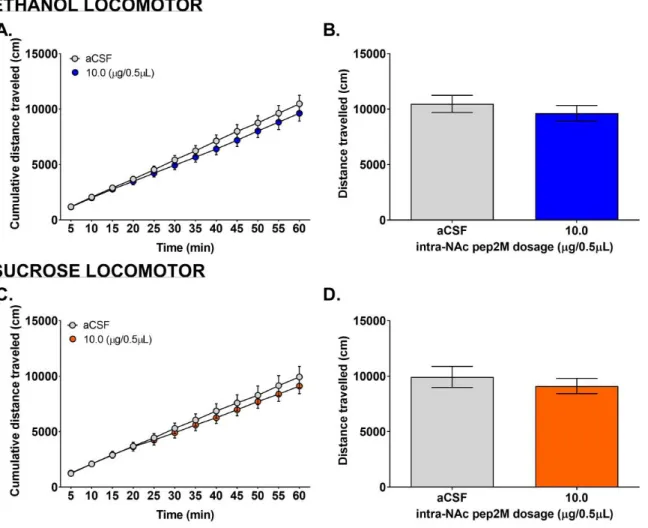 Figure 3. Locomotor activity after microinjection of pep2M into the NAc 