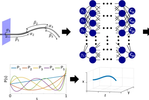 Figure 1.1: Given a concentric tube robot configuration defined by the translations and rotations of the tubes (upper left), our neural network (upper right) outputs coefficients for a set of polynomial basis functions (lower left) that are combined to mod