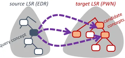 Figure 1: Node-wise alignment of concepts in differentlexical-semantic resources. Dotted arrows represent poten-tial semantic correspondences that should be classiﬁed andlabeled.