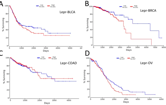 Figure  7:  Higher  Leptin  receptor  expression  is  associated  with  reduced  survival  rates  in  breast and ovarian cancers
