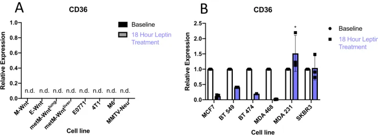 Figure 8 A-B: Relative Expression Levels After 18 Hour leptin supplementation. Cell lines  were seeded in triplicate 10-cm plates and were supplemented with leptin (100 ng/mL) in 10% 