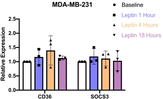 Figure 9:  Expression levels of CD36 and SOCS3 at 1, 4, 18-hour time points. MDA MB 231  were  seeded  in  triplicates  for  each  duration  and  RNA  expression  levels  were  determined  and  normalized to baseline MDA MB 231 levels