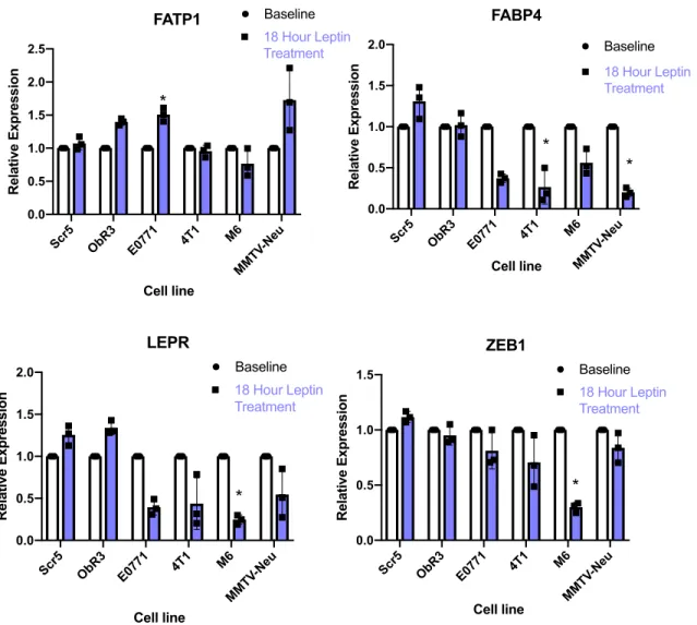 Figure  11:  Differential  expression  with  and  without  leptin  supplementation  of  FABP4,  FATP1,  LEPR,  and  ZEB1  across  a  panel  of  murine  cell  lines