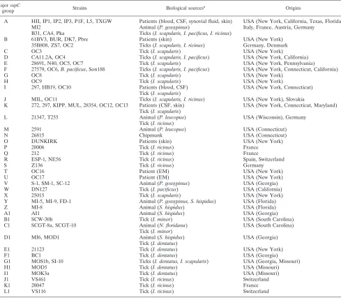 TABLE 4. Relationships between ospC major groups and their biological sources and geographic origins