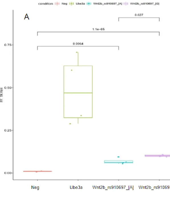 Fig   3.   HEK293   Luciferase   Data   Summary  
