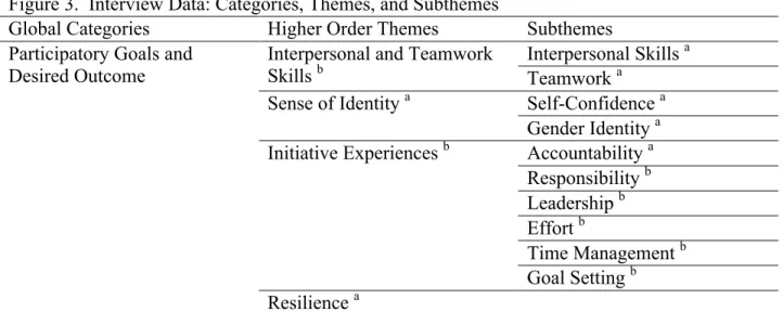 Figure 3.  Interview Data: Categories, Themes, and Subthemes  