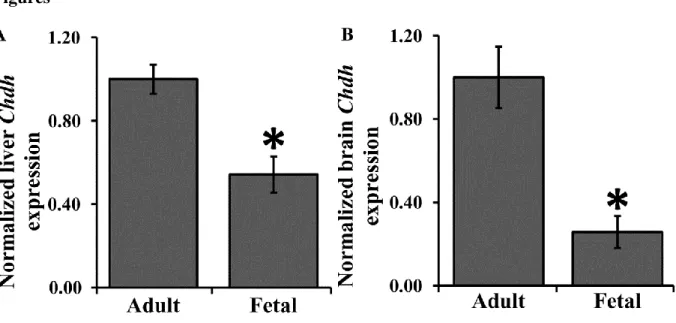 Figure 1. Chdh Expression 