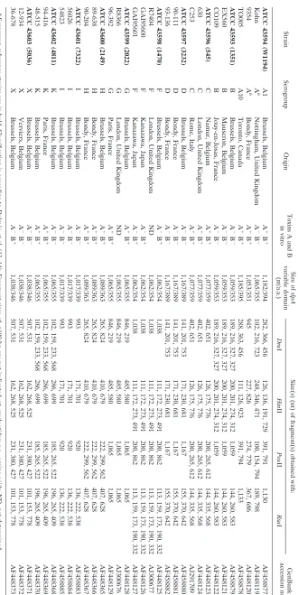 TABLE 1. C. difﬁcile isolates studied and their slpA RFLP patternsa