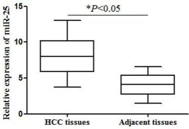 Figure 1. The expression of miR-25 in HCC tissues and adjacent normal tissues. miR-25 expression was higher in HCC tissues than in adjacent normal tissues (P<0.05).