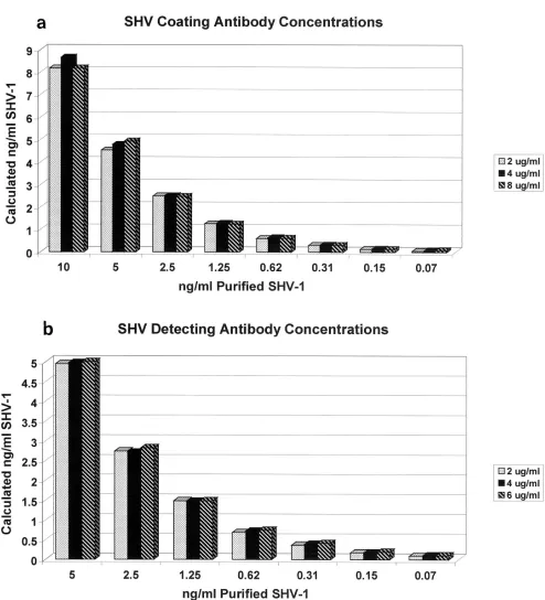 FIG. 2. Effects of varying coating and detecting antibody concentrations in the SHV ELISA