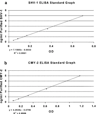 FIG. 3. ELISA standard curves. Puriﬁed SHV-1 and CMY-2 �-lactamases at known concentrations were run in duplicate and used to generatea standard curve for every ELISA that was performed.