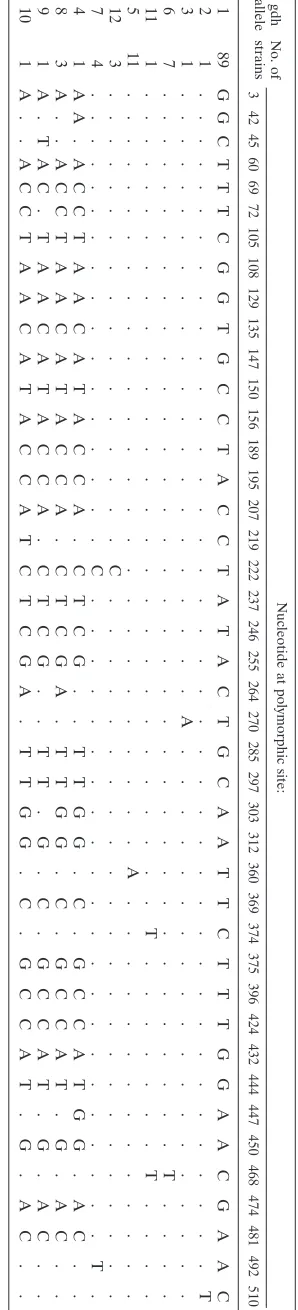 TABLE 3. Polymorphic nucleotide sites in the gdh locusa