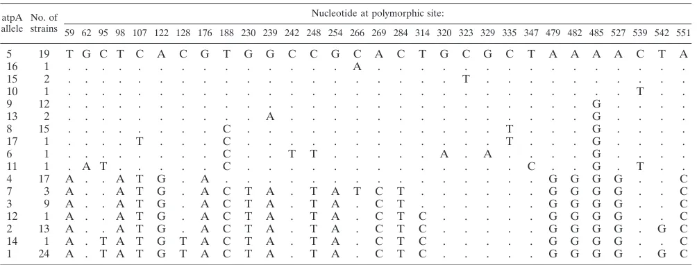 TABLE 4. Polymorphic nucleotide sites in the atpA locusa