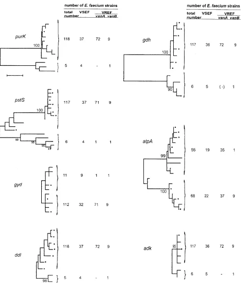FIG. 1. Dendrograms showing the genetic relationships among the allele sequences of individual loci used for MLST