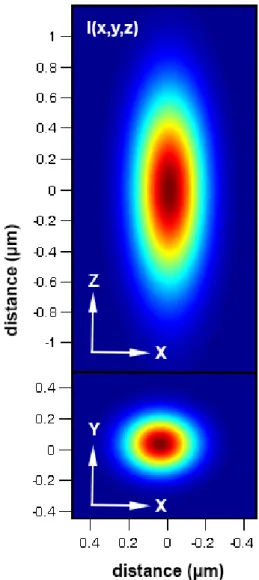 Figure 1.4: Point spread function of the two-photon microscope used as the bleach and  observation regions of interest in a FRAP experiment