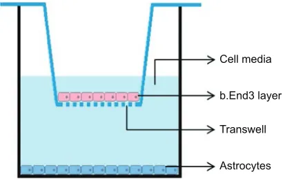 Figure 1 cellular components of the blood–brain barrier (cross-sectional view).3Notes: adapted from hawkins BT, Davis TP