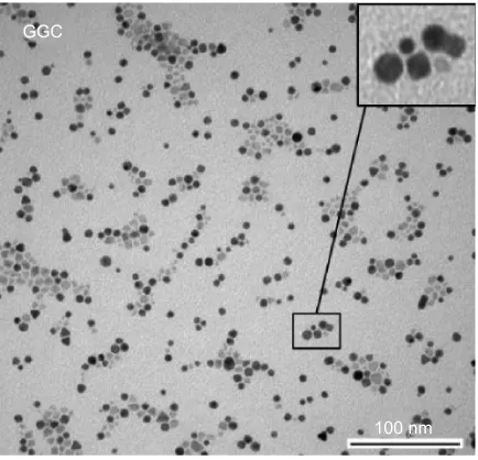 Table 1 DLS and zeta potential of five SPION samples