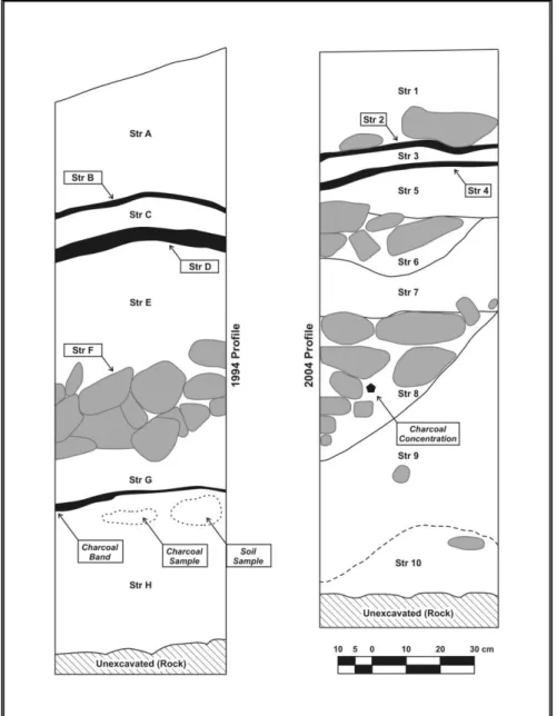 Figure 3.1. Internal stratigraphy of the tumulus of La Revive, Uxeau (71),  France. Apparent differences in depth between the two profiles result from  methodological differences