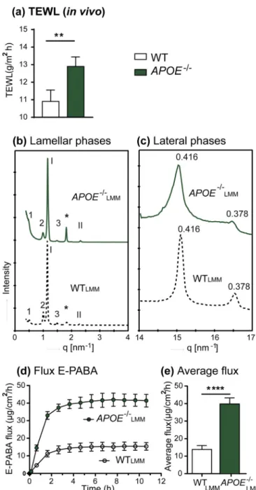Fig. 5. Skin of APOE −/− mice shows higher transpepidermal water loss (TEWL) than WT control in vivo and epidermal lipid composition of APOE LMM −/− mice shows remarkable increase in lipid barrier permeability to ethyl  para-amino-benzoic acid (E-PABA)