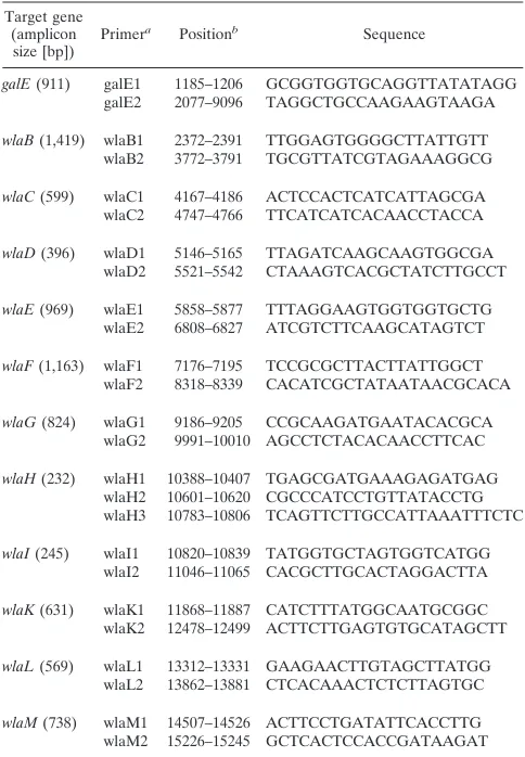 TABLE 1. Bacterial strains used in this study